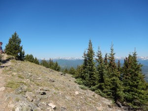 Above the tree line