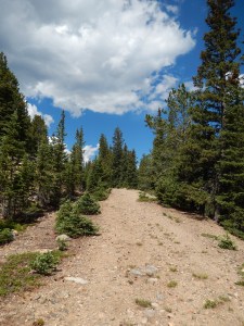 Back on the fire road to Squaw