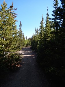 Fire Access Road we started out on