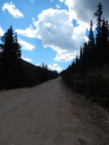 Squaw Mt. Access Road