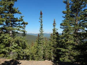 The views from the fire road