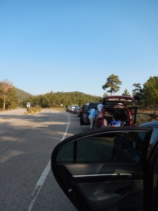 We got there around 7:30 and just barley nabbed a spot.