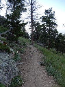 Starting up the switchbacks