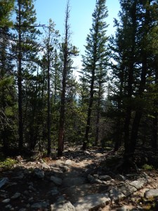 Summit climb conditions