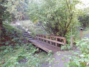 starting down in fashion