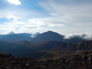 torreys