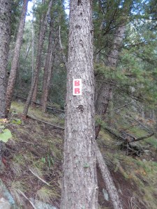 trail marker