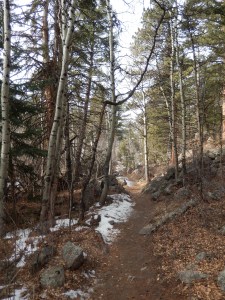 trail going to the pool